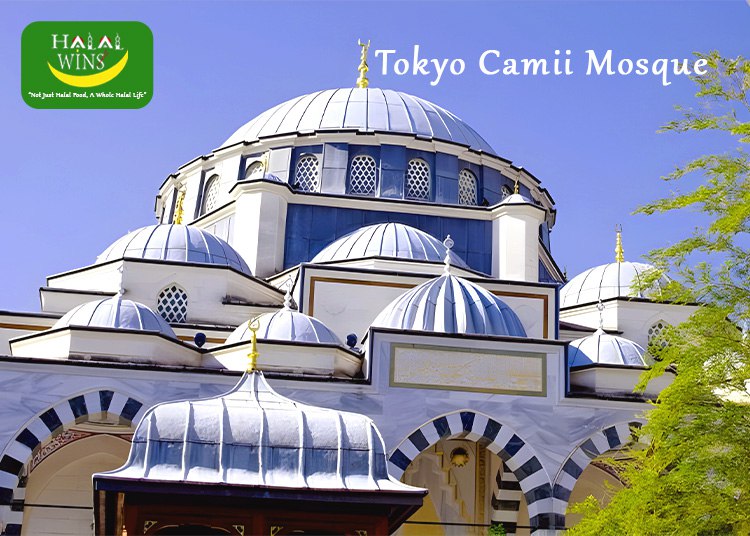 Tokyo Camii Mosque in Shibuya: Explore Japan’s Largest Mosque and Turkish Cultural Center